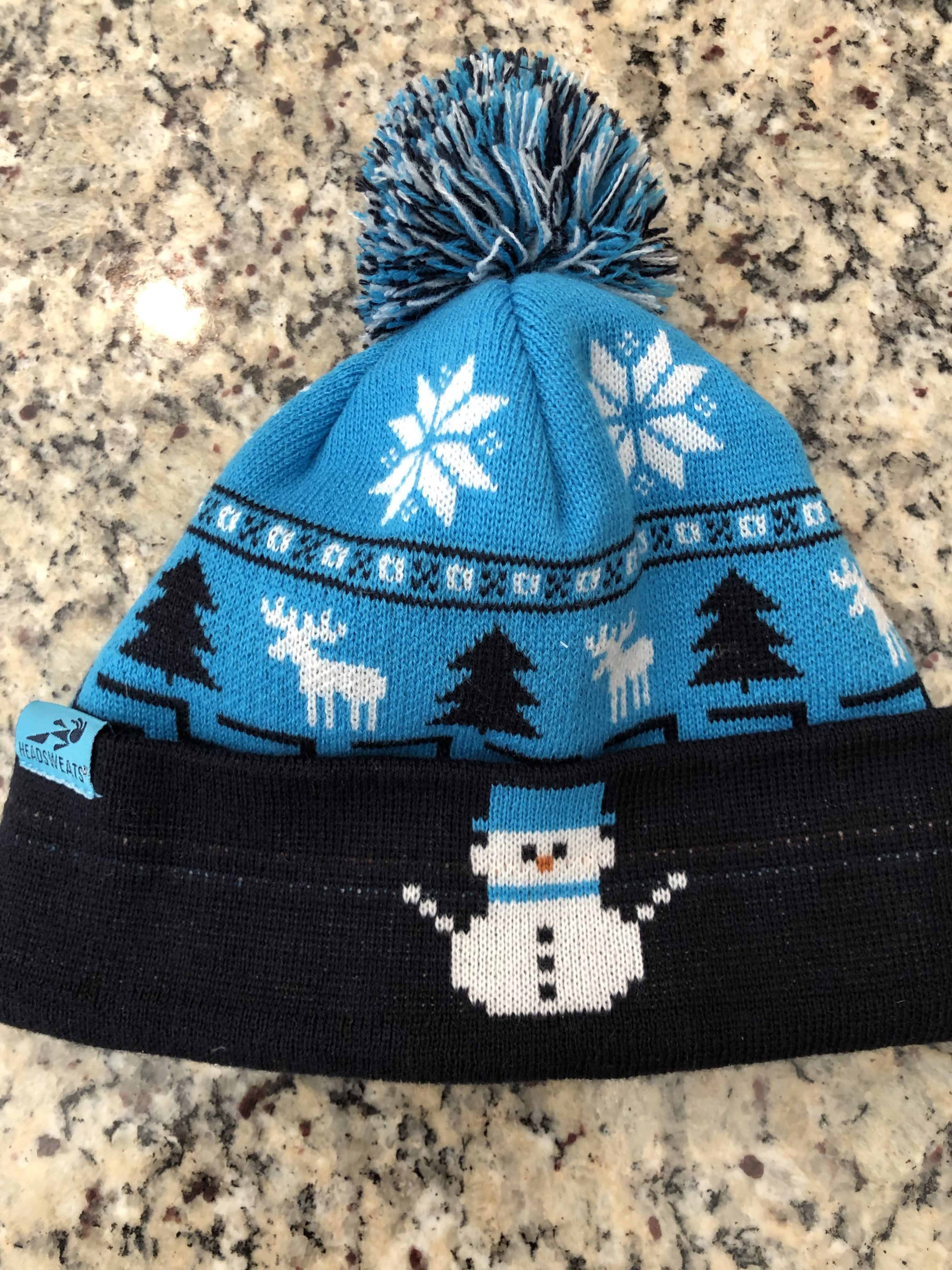 Headsweats winter beanie