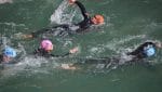 Triathlon swimming