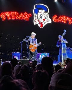 The Stray Cats